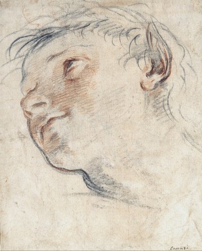 Estudio para la cabeza de un fauno de Domenico Maria Canuti